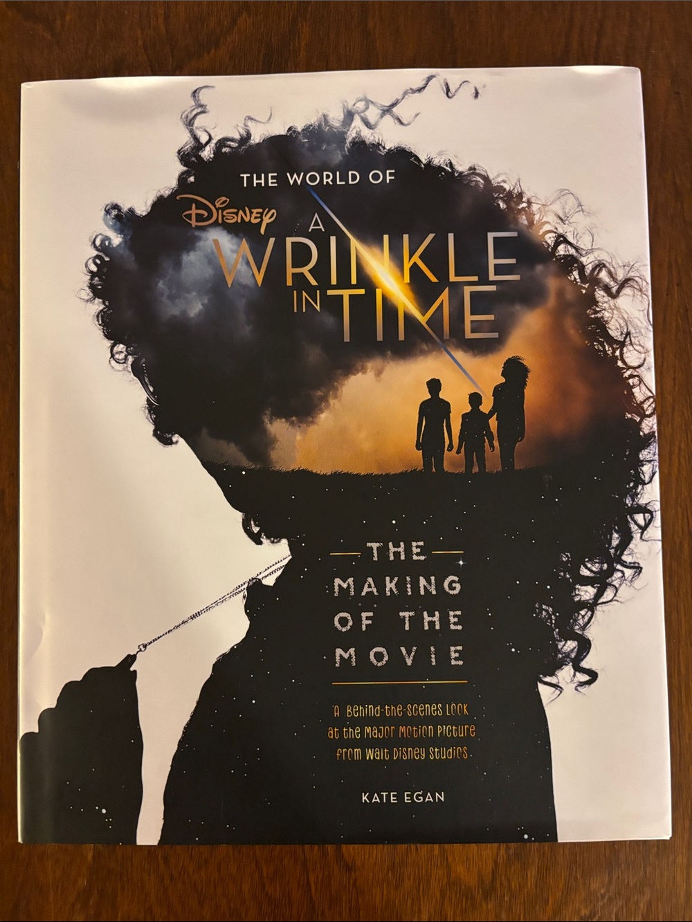 Disney A Wrinkle in Time Hardcover – Black & Gold Silhouette Cover